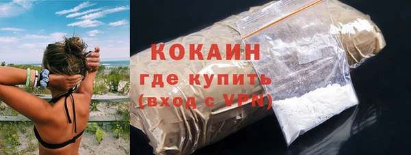 шишки Абаза