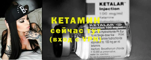 шишки Абаза