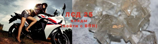 шишки Абаза