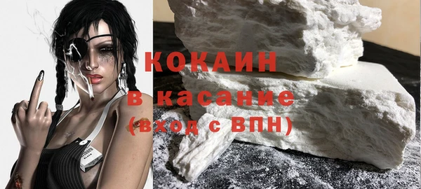 шишки Абаза