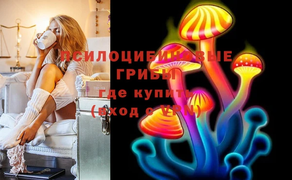 шишки Абаза