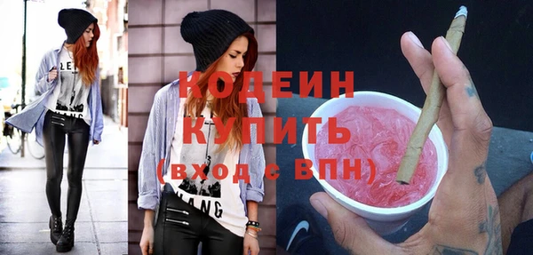 шишки Абаза