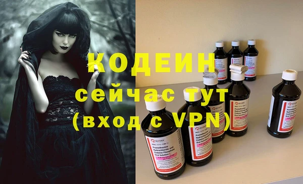 шишки Абаза