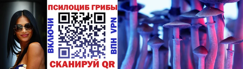 Псилоцибиновые грибы MAGIC MUSHROOMS  продажа наркотиков  Нахабино 
